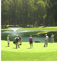 golfen El Jadida