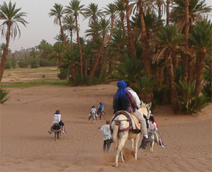 Familiereis Sahara