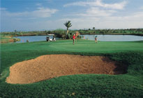 Palmeraie Golf Club