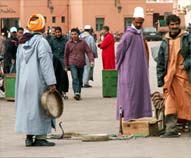 Plein Marrakech