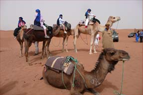 Sahara familiereis